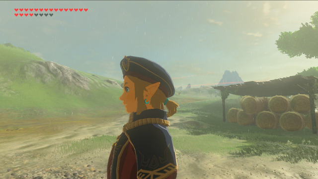 I Just Like Taking Pictures In Hyrule — Link’s Royal Guard Attire. One ...