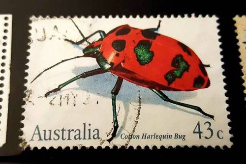 stamp stamps stamp collecting philately stamp Sunday Pentatomidae stink bug hemipter insect bug cotton harlequin bug Tectocoris Tectocoris diophthalmus