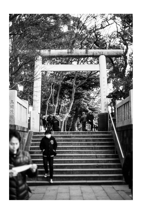 ryojapaniphoto