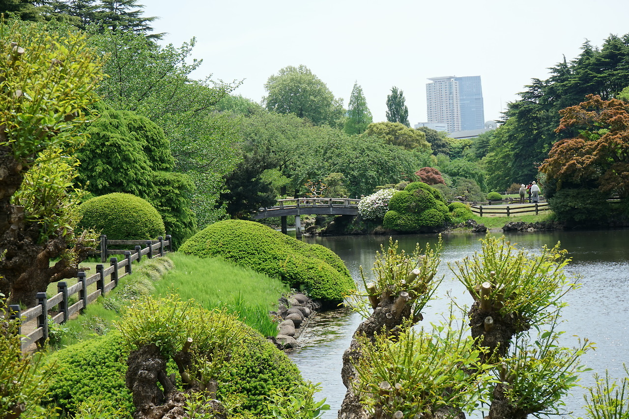 Seattle To Anywhere — Shinjuku Gyoen National Park, Shinjuku, Japan