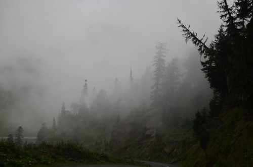 Forest travel mountains traveler traveling nikon Travel Photography fog