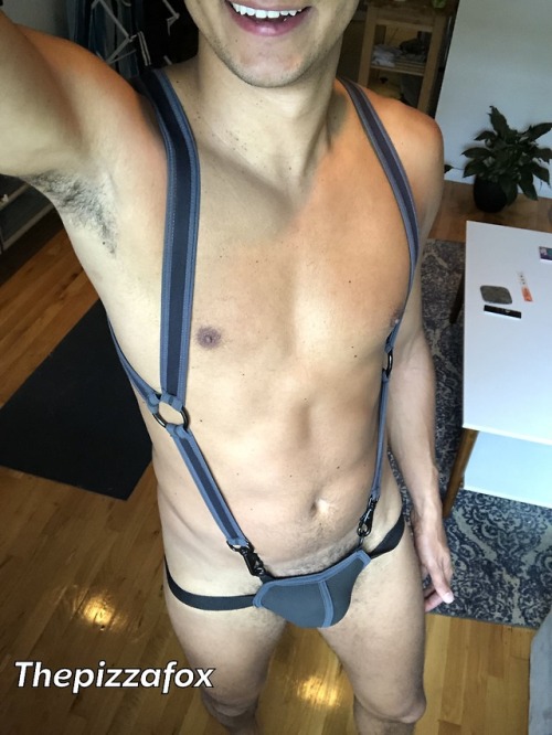 thepizzafox:New harness!