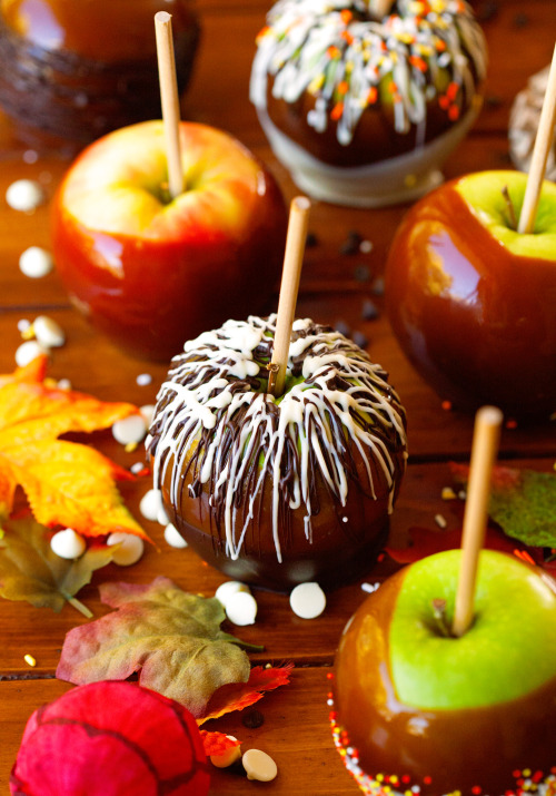 sweetoothgirl:Perfect Caramel Apples