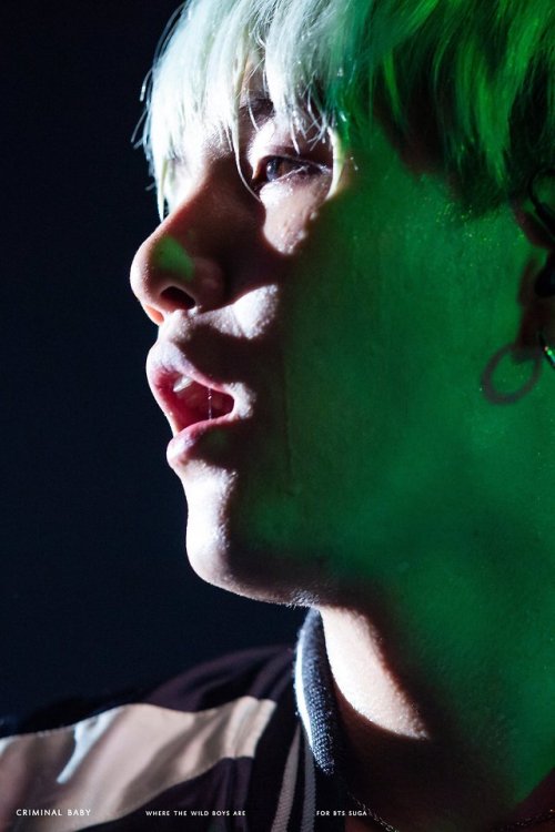 aesthetical-killer:WHeRe iS mY BiBLe?!?!?!Cr. sugapics