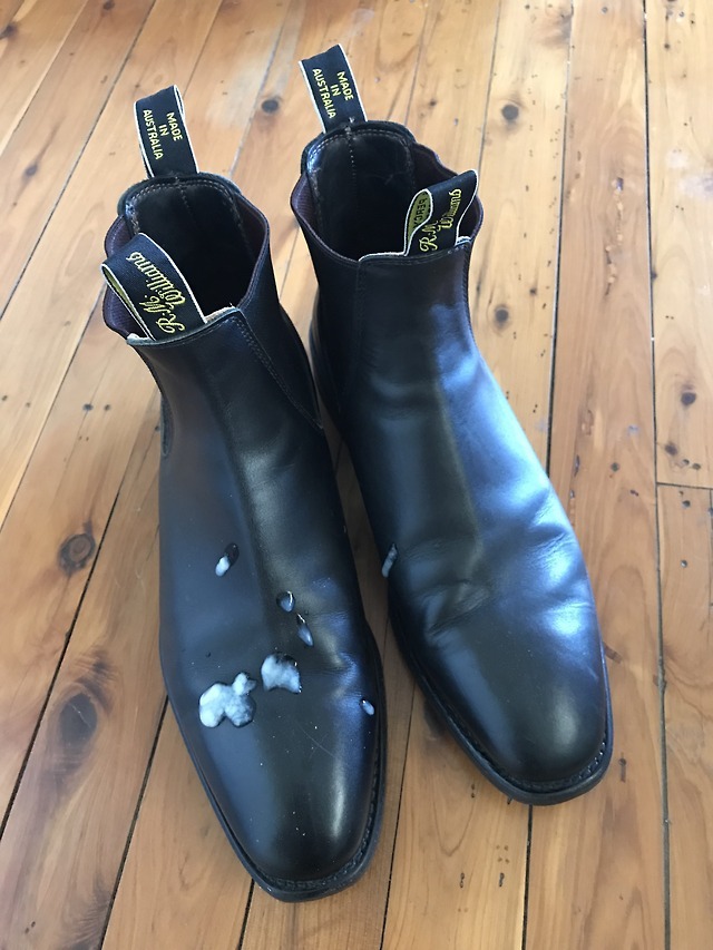 rm boot polish