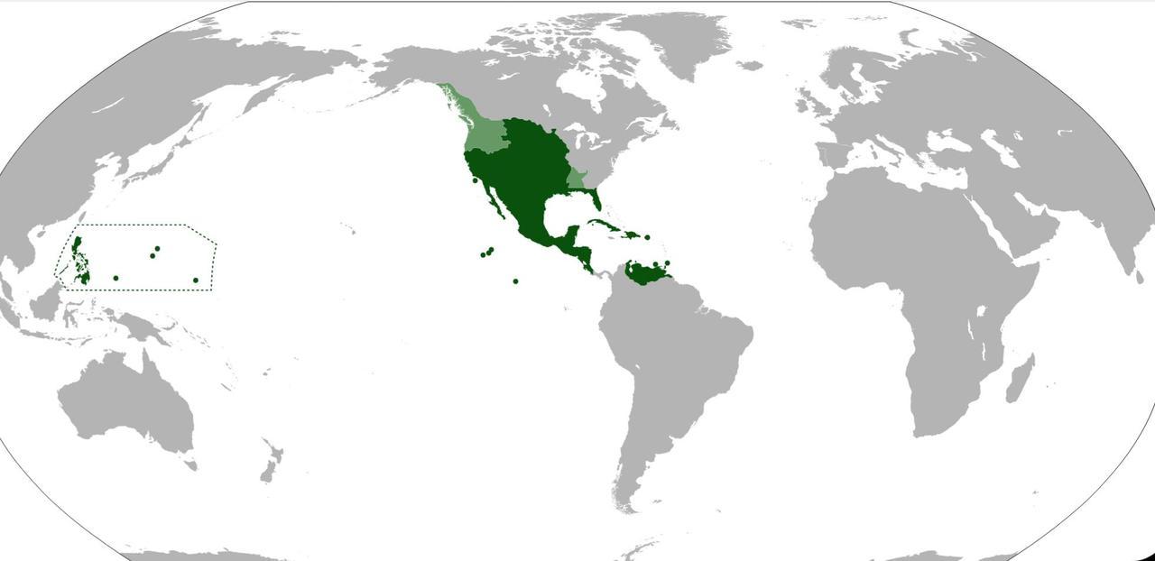 mapsontheweb: “Viceroyalty of New Spain 1763, all this territories were directly administered by Mexico City. ”