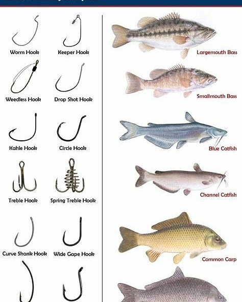 fishingmypassion:FISHING TIPS