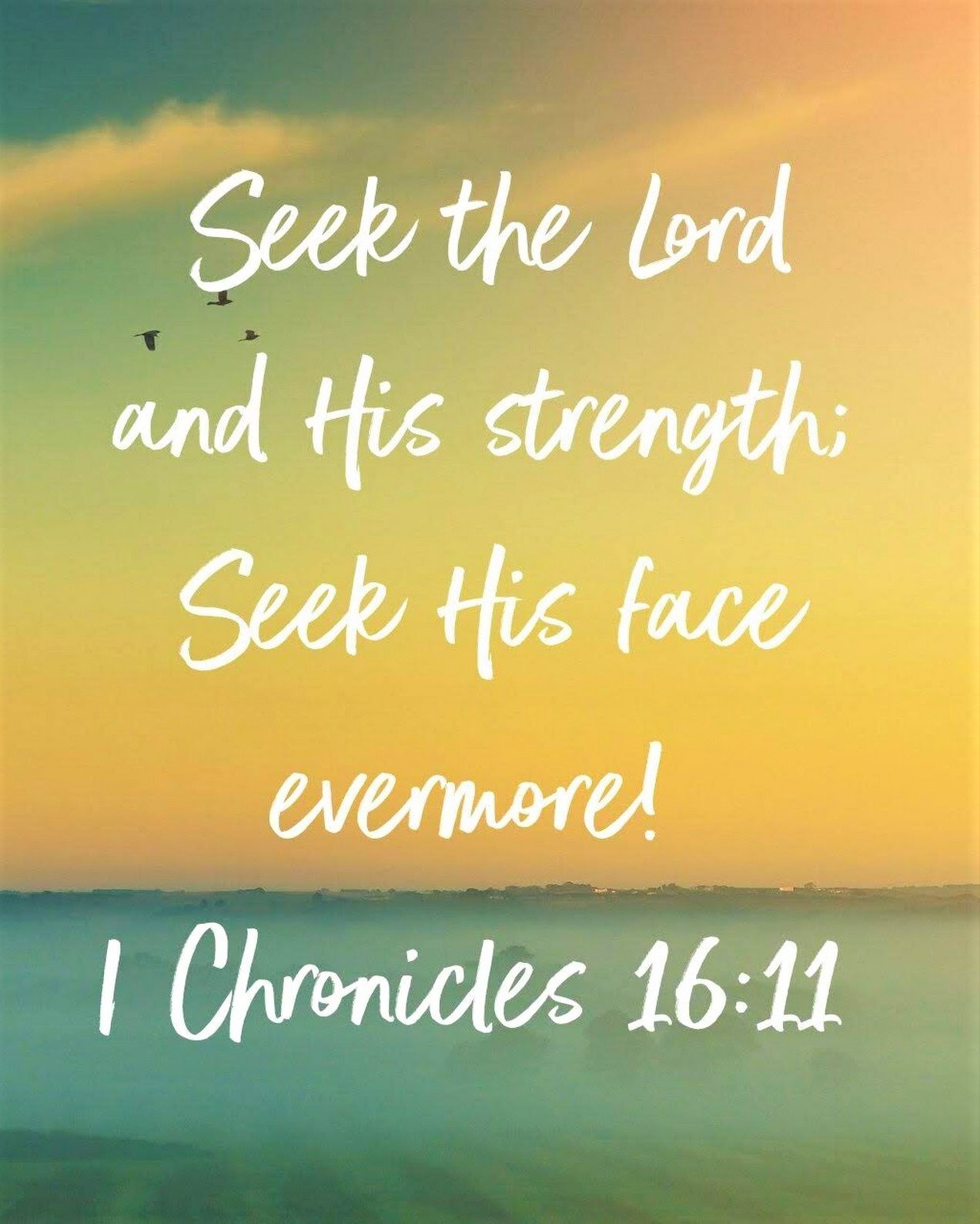 The Living 1 Chronicles 1611 Nkjv Seek The Lord