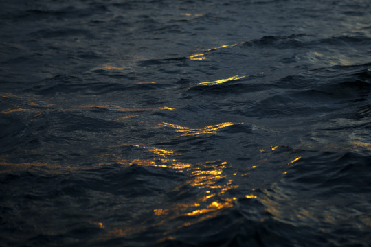 Glow From The Depth By Salar Kheradpejouh