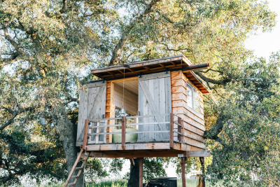 Treehouse Living Tumblr