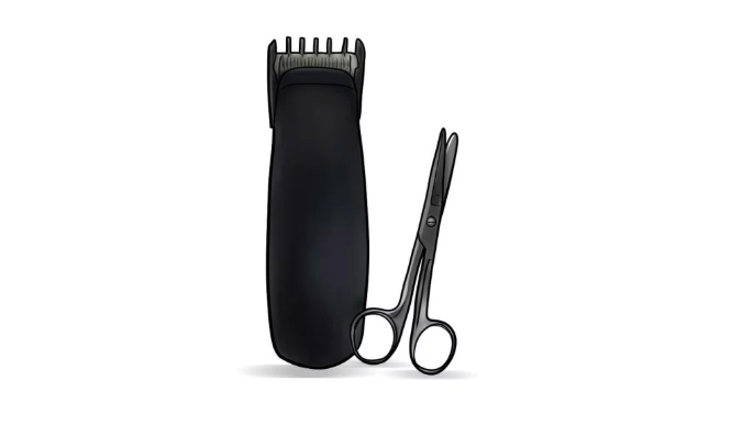 Best Pubic Hair Trimmer Reviews Best Pubic Hair Trimmer How To