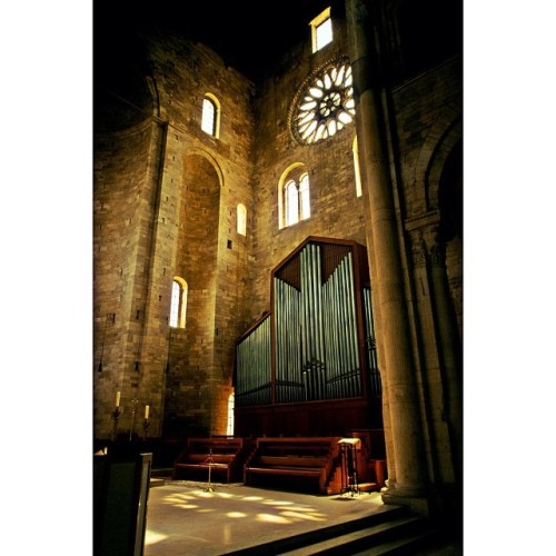 Trani cathedral is perhaps the most beautiful and famous...