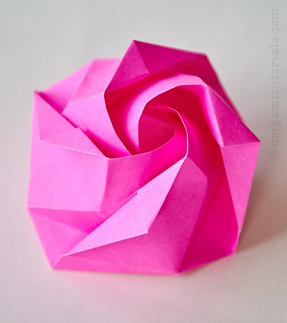 Origami Tutorials Origami Rose Called Rous Designed By