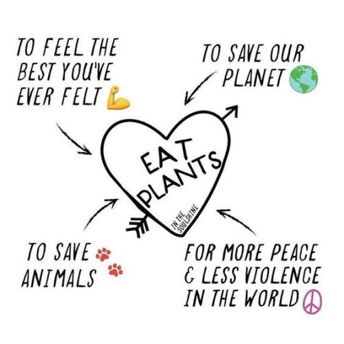 veganhippiechick