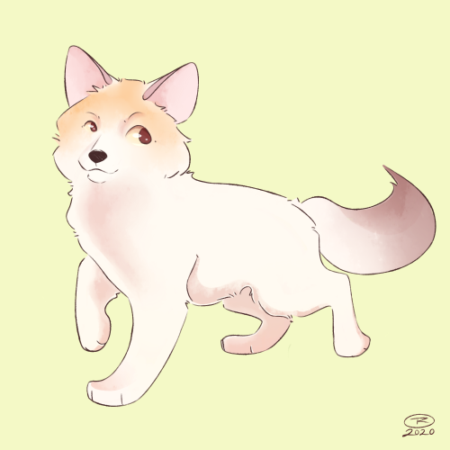 foxssie