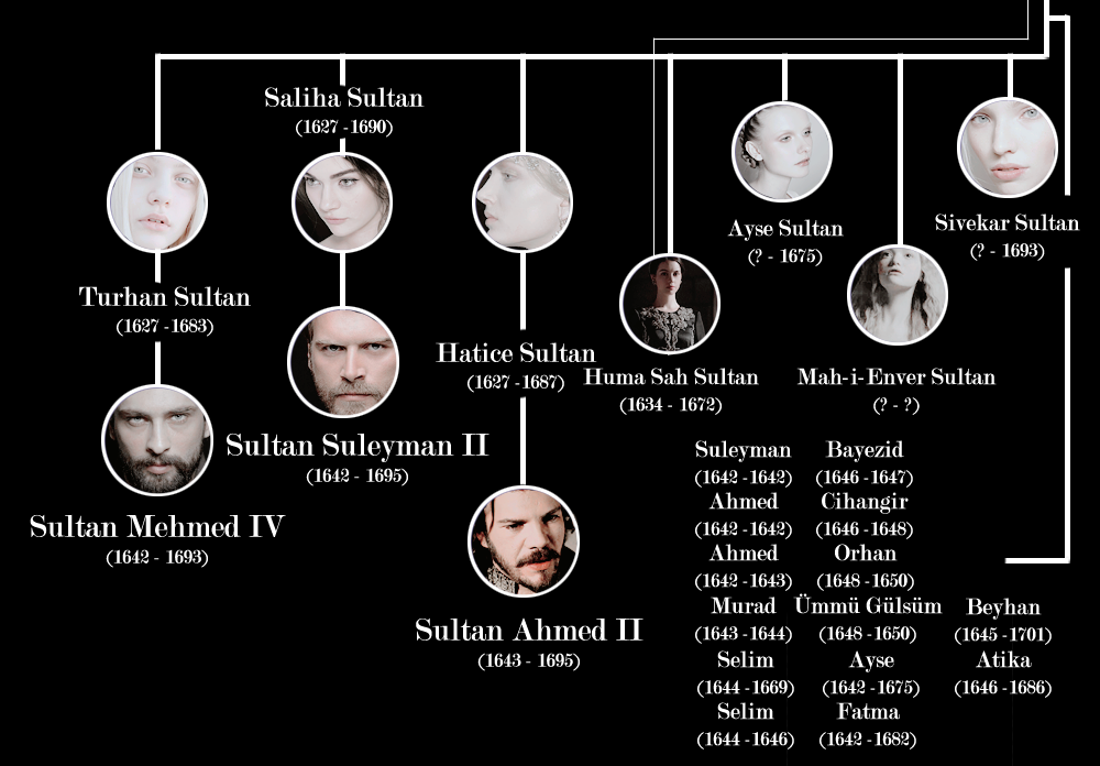 Генеалогическое дерево после Сулеймана великолепного. Семейное Древо Султана Сулеймана. Потомки Султана Сулеймана генеалогическое Древо.