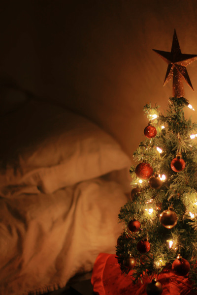Mini Christmas Tree Tumblr