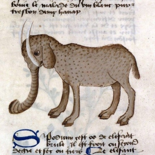 andrusmagnus:Illuminated Manuscript Elephant