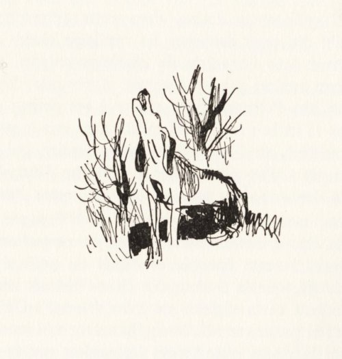 geritsel:Georges Beuville - Illustrations for La chasse au...