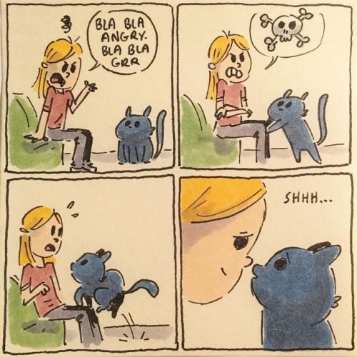 catsbeaversandducks