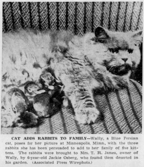 yesterdaysprint:The Indianapolis Star, Indiana, August 30,...