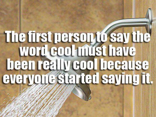 Tastefully Offensive — More Brilliant Shower Thoughts Images Via Imgur