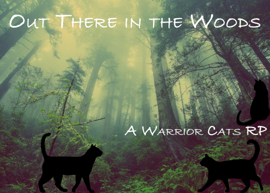 Out There in the Woods ~ A Camping Inspired Warrior Cats RP 72b902747f6ca17841cfcbe6bcb09922f9dfc599