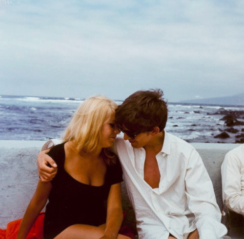 demonzebr:Photographs of George Harrison, Paul McCartney and...