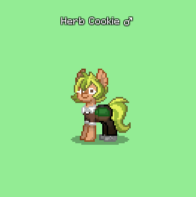 pony town oc copy pony town oc copy
