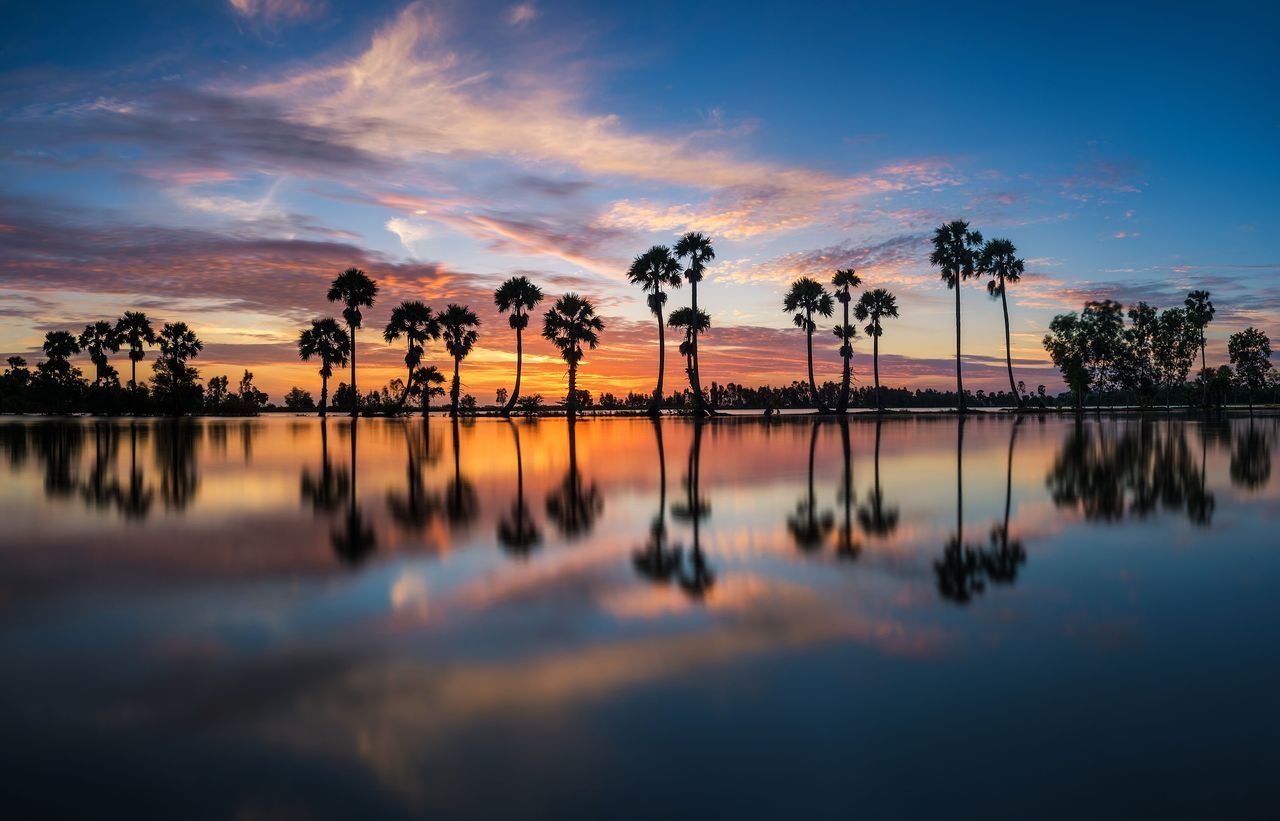 Top Shot: Rhythm of the Sunrise Top Shot... -- Editors' Spotlight ...