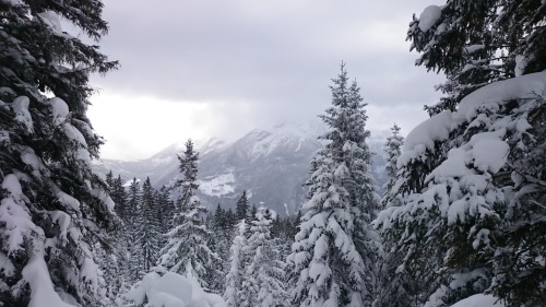 hopeless-vvanderer:went ski touring in Berchtesgardener Land,...