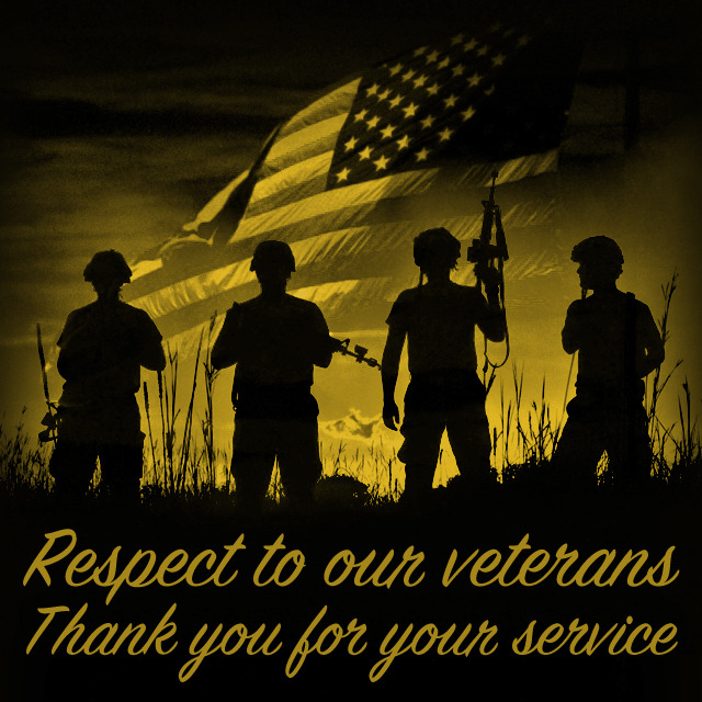 Respect to our veterans. Thank you for your... - Mammoth Infographics