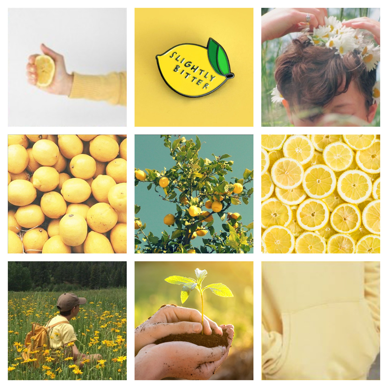 Ember — Lemon Boy by Cavetown aesthetic