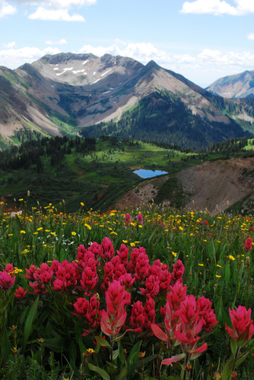hesperus chat sites Meet telluride singles online & chat in the forums dhu is a 100% free dating site to find personals & casual encounters in telluride. hesperus chat sites Meet telluride singles online & chat in the forums dhu is a 100% free dating site to find personals & casual encounters in telluride.