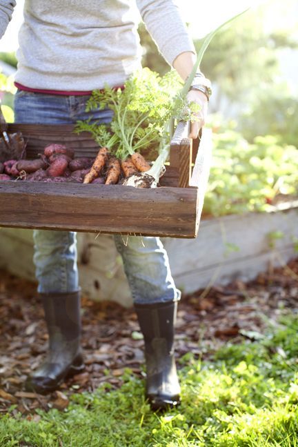 alraunahomestead:Roots Country Farm