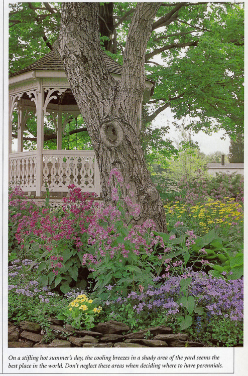 perennialgarden