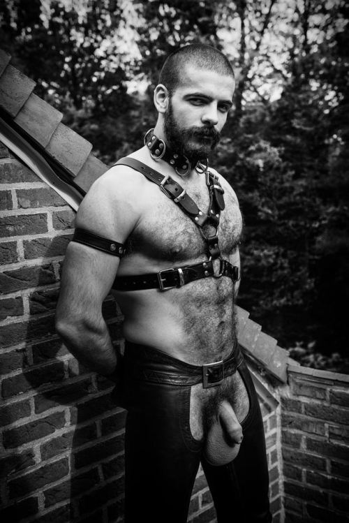 leather-big-wolf:You like big balls? Would you like to choke on...