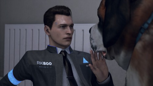 connor-rk800:Since some of you liked the images of this little piece of sun, here is more of my...