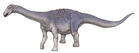 magyarosaurus