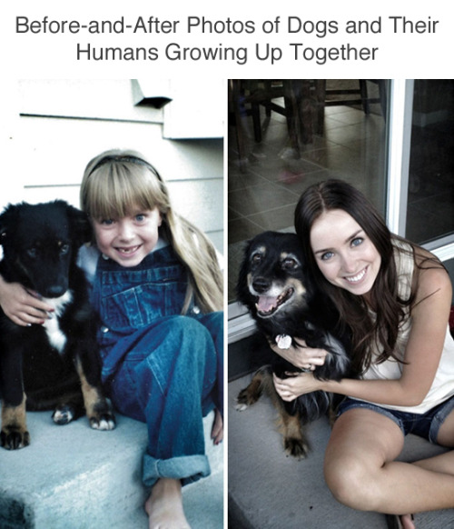 wwinterweb:Dogs Growing Up With Their Humans (see 20 more)