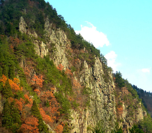 A cliff of Miocene rhyolite dyke.