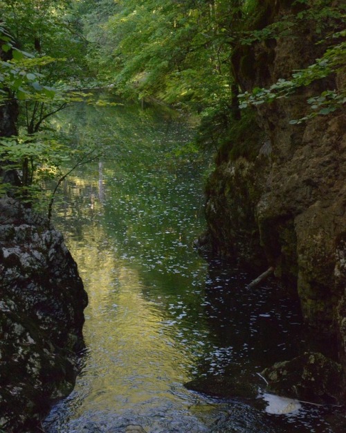 VERTS TRIOMPHANTSAreuse#green #tree #river #quiet #nature...