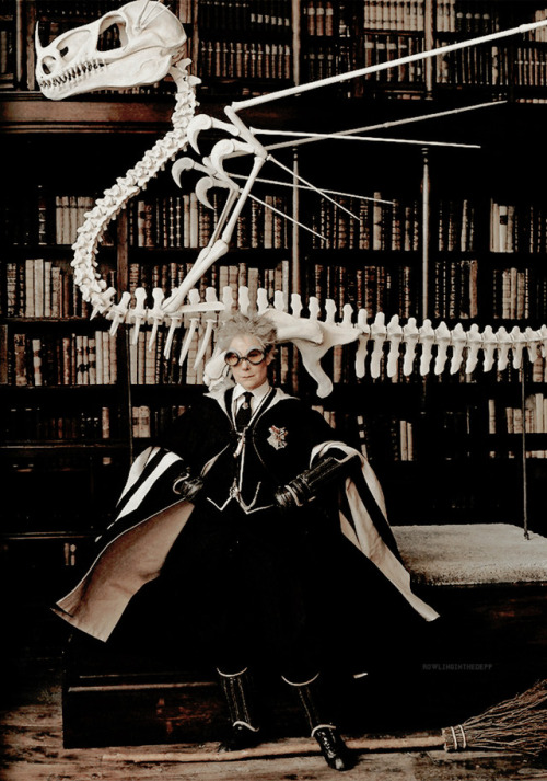 rowlinginthedepp:Hogwarts professors photographed by Annie...