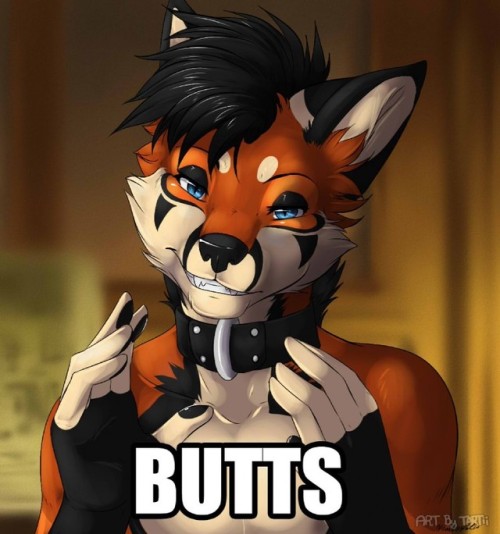 agayfoxwithdreams:Just that :3