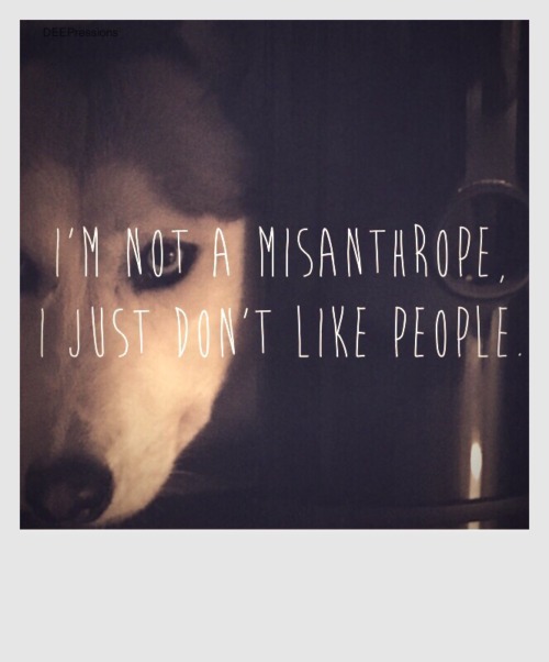 I’m not a misanthrope, I just don’t like people.