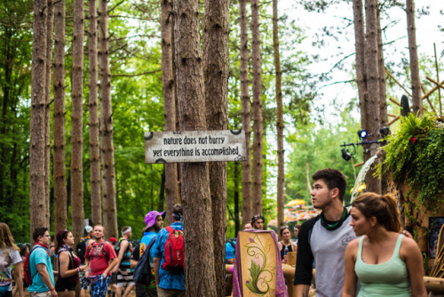 electricforestfest:Forest wisdom - words to live by. ✨...