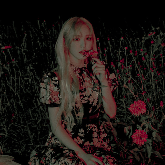 son seungwan, ★★★★