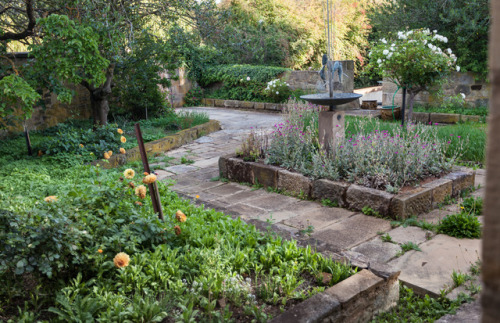 Rooftop view of Hobart, Mount Morrison Garden in Ross and the...