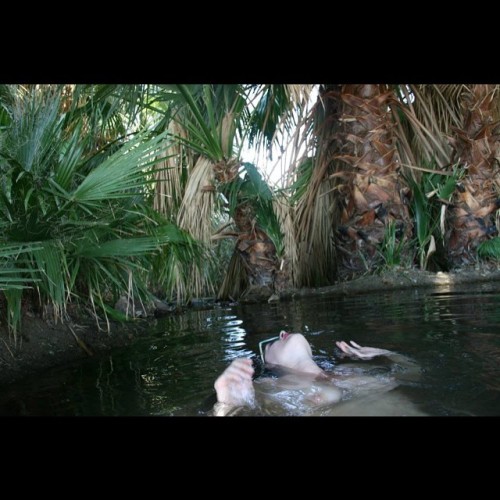 soakingspirit:Secret #hotsprings #desert #palms #oasis