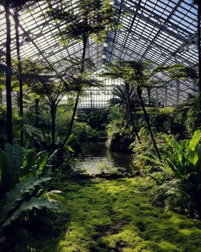 [OC] Fern Room at the Garfield Park Conservatory in Chicago [3024×3780]